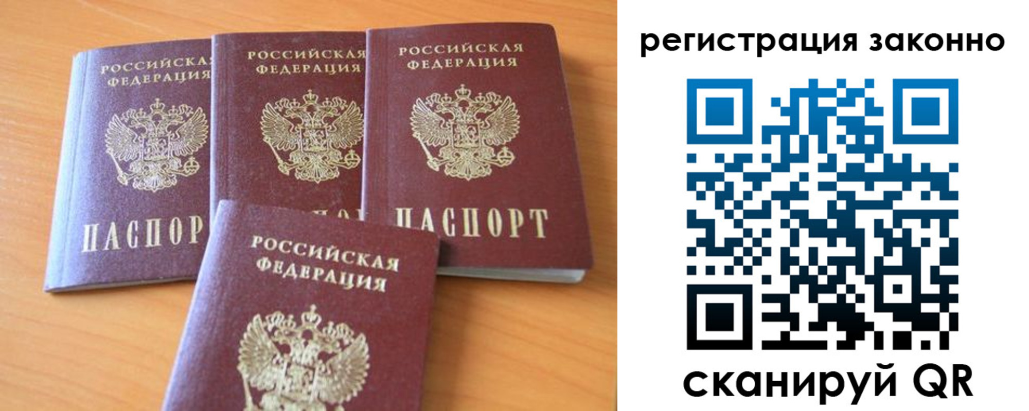 прописка законно в Палласовке