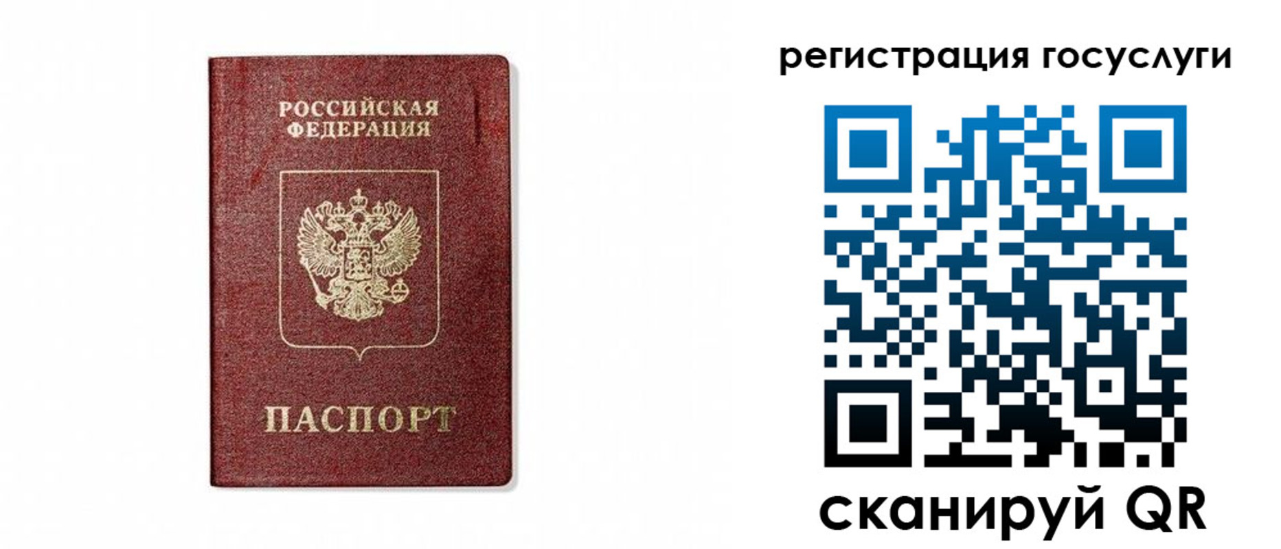 прописка паспорт в Палласовке